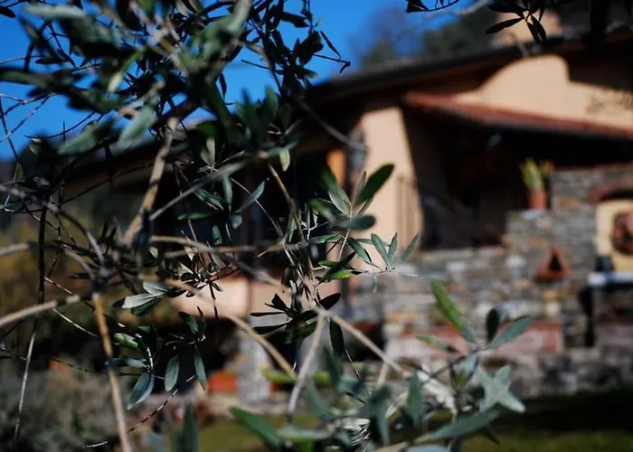 Eterna Roma Residence Corsanico-Bargecchia, Italia