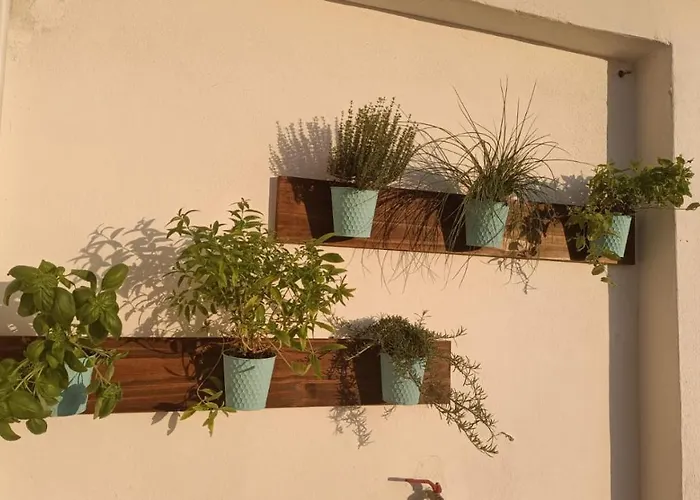 Domus Vacanze Romane, Italia