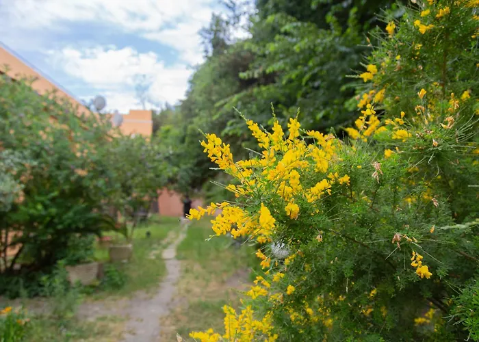 La casa di Nonna Peppina a Trastevere Roma, Italia