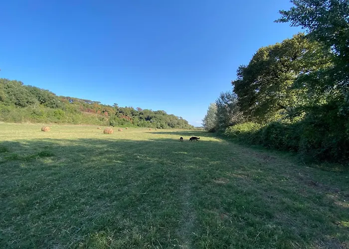 Appartamento Francigena House Roma, Italia