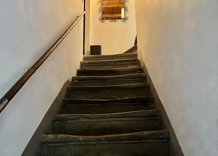 Villa Navona Fox House 1 Roma, Italia